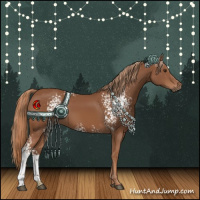 Horse Color:White Spotted Chestnut 