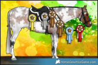 Horse Color:White Spotted Bay Roan 