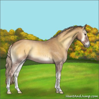 Horse Color:Palomino Roan Onyx 