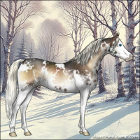 Horse Color:White Spotted Liver Red Onyx Mushroom Sabino Splash Rabicano 