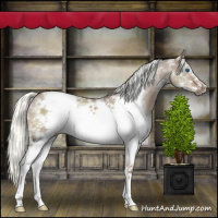 Horse Color:White Spotted Liver Red Dun Mushroom Sabino Splash Frame 