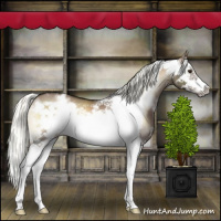 Horse Color:White Spotted Liver Red Dun Onyx Mushroom Splash Frame Brindle 