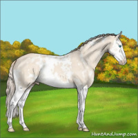 Horse Color:White Spotted Perlino Dun Splash 