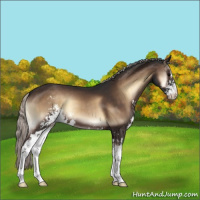 Horse Color:Silver Brown Onyx Sabino 