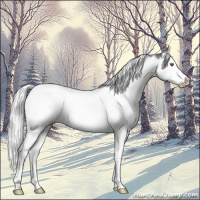 Horse Color:Silver Black Chinchilla Splash Tobiano 