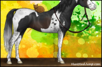 Horse Color:Brown Sabino Tobiano