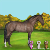 Horse Color:Bay Rabicano 