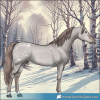 Horse Color:Platinum White Spotted Liver Red Dun 