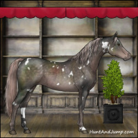 Horse Color:Platinum White Spotted Liver Chestnut 