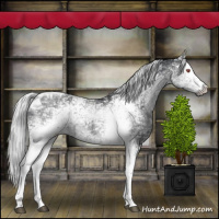 Horse Color:White Spotted Silver Black Chinchilla Ice Tobiano 
