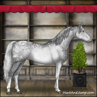 Horse Color:Silver Black Chinchilla Ice Tobiano 