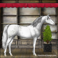 Horse Color:Silver Grullo Chinchilla Ice Tobiano 
