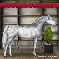 Horse Color:White Spotted Silver Grullo Chinchilla Ice Tobiano 