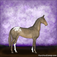 Horse Color:Chocolate Palomino Dun Snowcap 