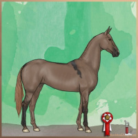 Horse Color:Liver Red Dun 