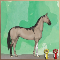 Horse Color:Liver Red Dun 
