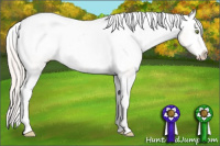 Horse Color:Silver Amber Champagne Ice Dun Sabino Splash Tobiano Appaloosa Rabicano 