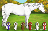Horse Color:Silver Amber Cream Champagne Dun Splash Tobiano Frame Varnish Rabicano  and Silver Amber Cream Champagne Dun Splash Tobiano Frame Varnish Rabicano 