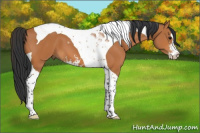 Horse Color:Bay Sabino Tobiano 