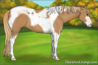 Horse Color:Chestnut Sabino Tobiano 