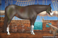 Horse Color:Liver Chestnut Sabino 