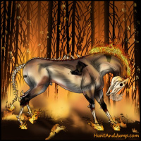 Horse Color:Void Bay Onyx Tobiano 