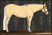 Horse Color:Palomino  and Palomino 
