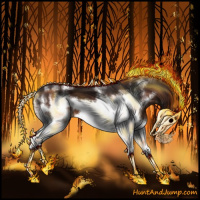 Horse Color:White Spotted Bay Frame