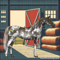 Horse Color:White Spotted Liver Chestnut Rabicano 