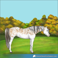 Horse Color:Buckskin Dun Splash  and Buckskin Dun Splash 