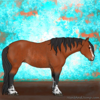 Horse Color:Bay Sabino Rabicano  and Bay Sabino Rabicano 