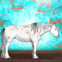 Horse Color:Bay Sabino Rabicano  and Gray Bay Sabino Rabicano 