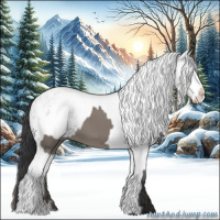 Horse Color:Grullo  and White Spotted Grullo 