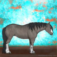 Horse Color:Grullo  and Grullo Rabicano 