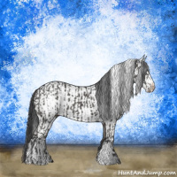 Horse Color:Grullo and White Spotted Grullo