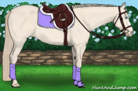 Horse Color:Perlino 