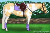 Horse Color:White Spotted Silver Buckskin 
