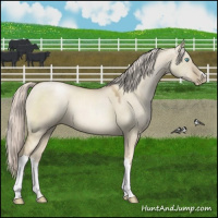 Horse Color:Chocolate Palomino Pearl Dun Mushroom