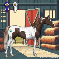 Horse Color:Liver Chestnut Tobiano 