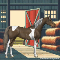 Horse Color:Chocolate Palomino Tobiano 