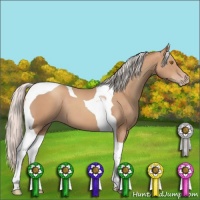 Horse Color:Silver Classic Champagne Tobiano 