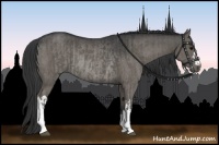 Horse Color:Grullo  and Grullo Rabicano 