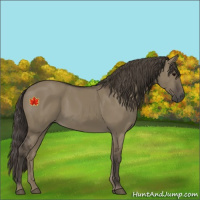 Horse Color:Smoky Grullo 