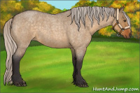 Horse Color:Silver Buckskin Roan Dun 