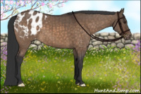 Horse Color:Brown Dun Blanket Brindle 