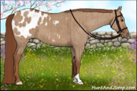 Horse Color:Red Dun Appaloosa Brindle 