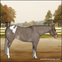 Horse Color:Liver Red Dun Mushroom Varnish Brindle 