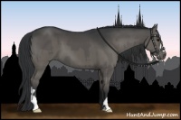 Horse Color:Grullo  and Grullo 