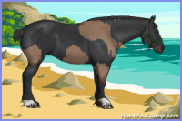 Horse Color:Liver Red Dun  and Black 