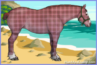 Horse Color:Plaid Liver Red Dun Sabino Rabicano